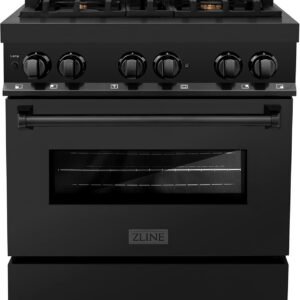 71dotlsfzpl. ac sl1500 300x300 1.jpg