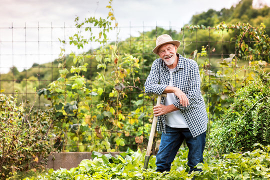 backyard garden man