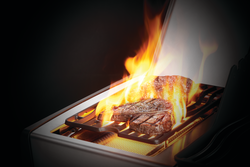 napoleon rogue se 425 gas grill napoleon rogue se 425 gas grill